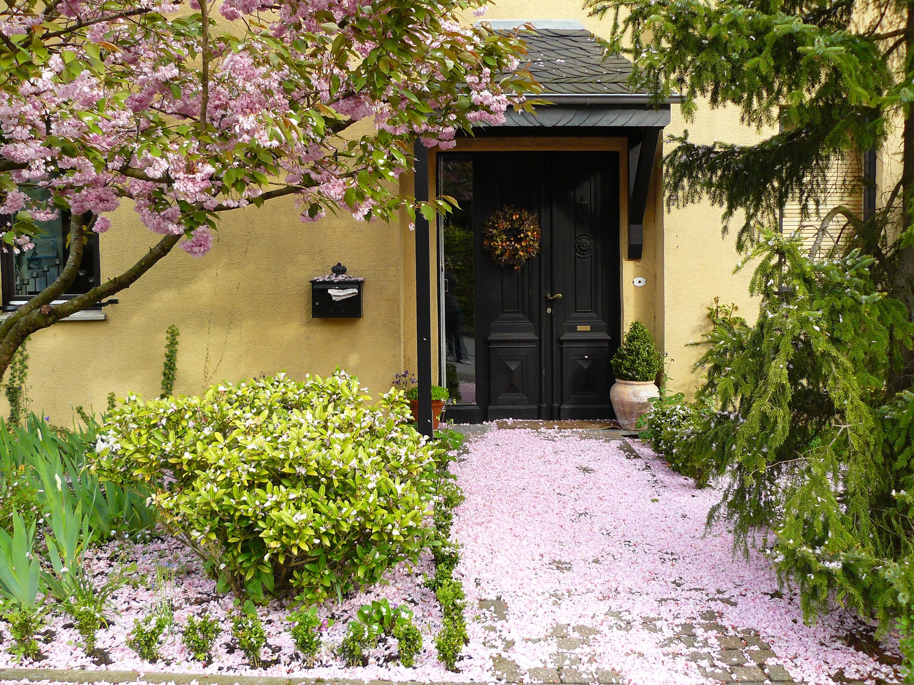 yellow concrete house with black wooden door